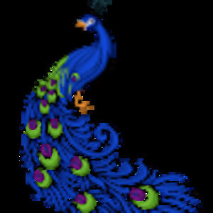 Meet your Posher, Adriana